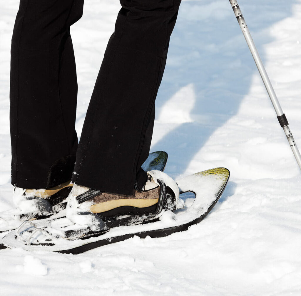 Raquetas de nieve
