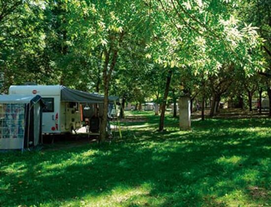 Camping Los Vives