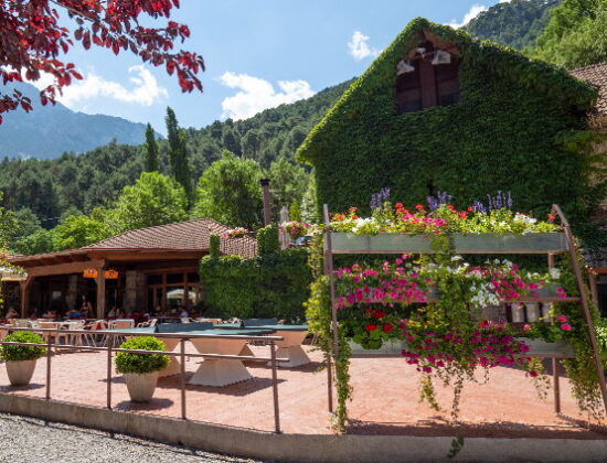 Camping Los Vives